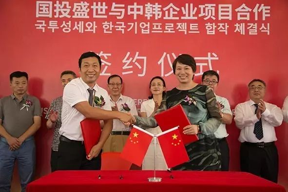 沸石環保新材料產業園首家中外合資企業正式成立-國投盛世