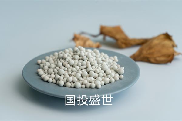 沸石分子篩吸附分離領(lǐng)域的應(yīng)用-國(guó)投盛世