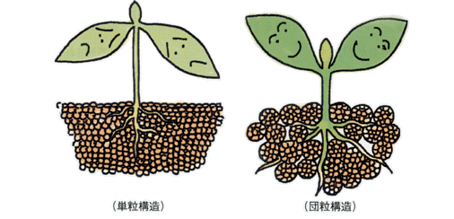 沸石如何應用于土壤改良領域？-國投盛世