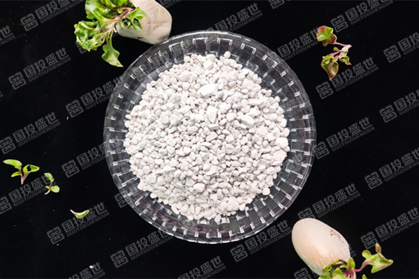 沸石在環(huán)境修復(fù)中的作用有什么？-國投盛世