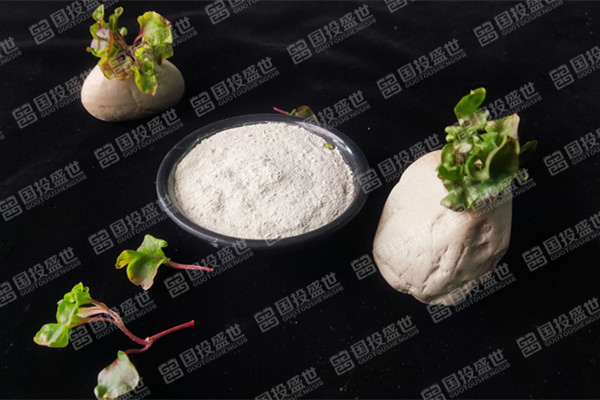目前沸石飼料添加劑價格是多少？