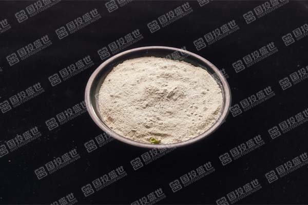 國(guó)投盛世的沸石牙膏是什么？