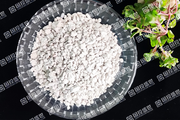 沸石在石油化工領域的應用與功能-國投盛世