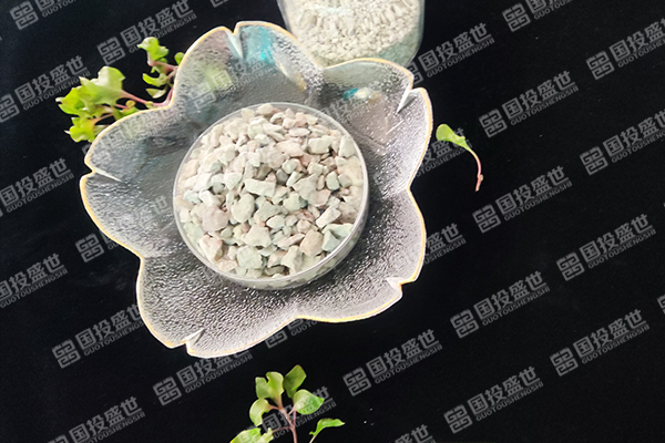 沸石在人工濕地生態系統中的應用