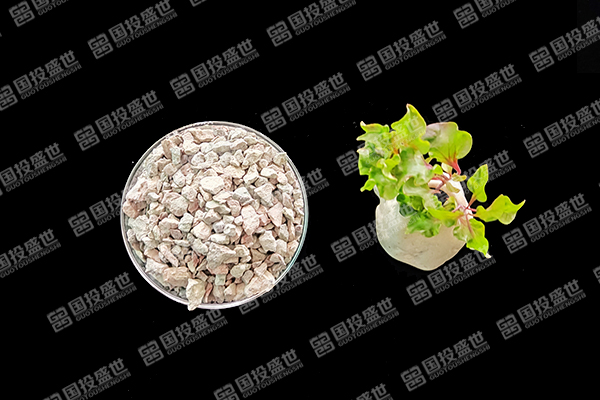 沸石能否成為水稻種植的綠色伙伴？-國投盛世