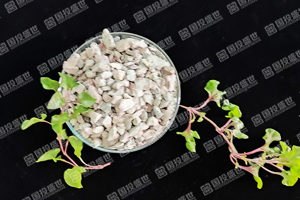 沸石在蘋果樹種植中有哪些優勢？-國投盛世
