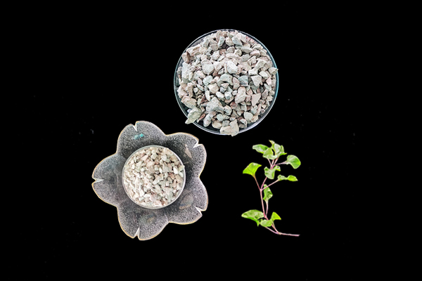 天然沸石對花生種植有何影響？
