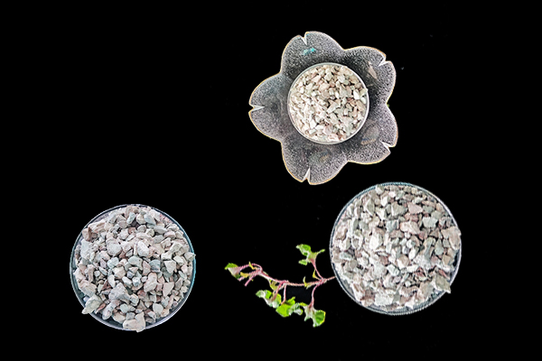 萵苣種植時添加沸石能提升產量嗎？-國投盛世