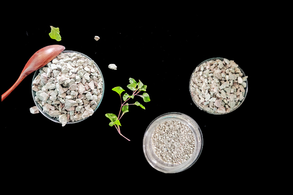 何時添加沸石于大麥種植最有效？-國投盛世