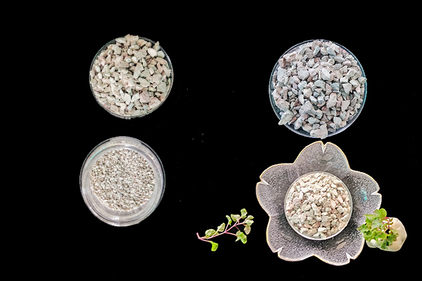 菠菜種植階段能使用沸石嗎？