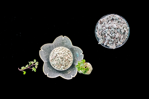 種植生菜時使用沸石能增產(chǎn)嗎？