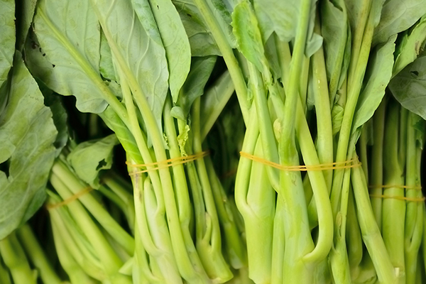 想要空心菜增產(chǎn)，就要在種植時(shí)要加入它了